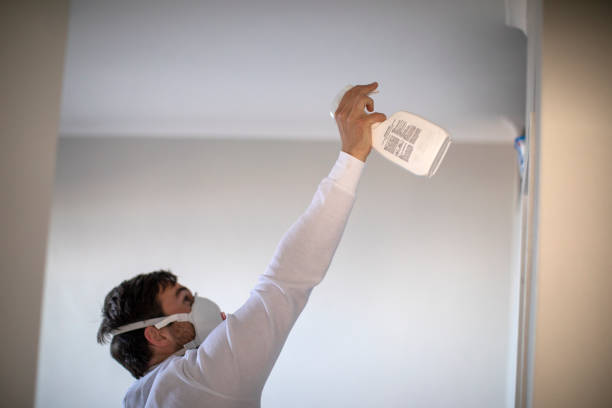 Best Commercial Mold Removal  in New Holstein, WI